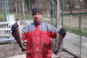 Uzgoj pastrve - tvrtka V.I.R.I.B.U.S.