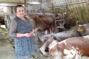 Sirana Anić - Krasno