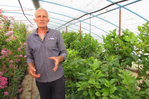 Neobično voće i povrće