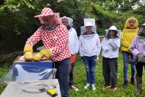 Vađenje pčelinjeg otrova