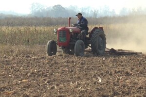 Sušna jesen primorala ratare da menjaju navike