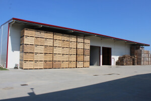 Simongrig, proizvodnja povrća