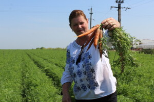 Simongrig, proizvodnja povrća