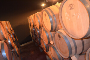 Pjenušce i vina proizvode u bivšoj kasarni