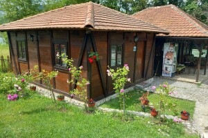 Vajati od prirodnih materijala