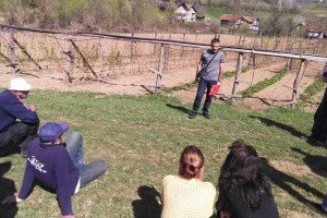 Asad Jelešković: Rizično je proizvoditi jednu kulturu pa sam proširio asortiman proizvoda