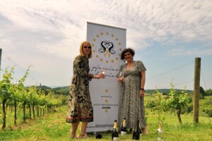 Pjenušavi zagorski doručak u Vinariji Kota