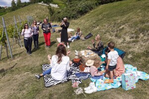 Doručak u vinogradu