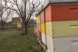 Pčelarsko gazdinstvo Milutinović