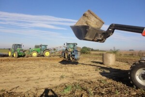 Slučaj Osatina nastavlja se na drugom posjedu