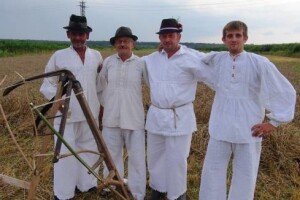 Vršidba u Staroj Subockoj