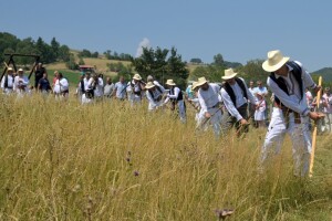 Kosidba na Rajcu 2024