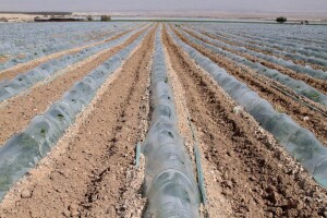 PVC Troplex - PVC stupovi za povrće, električne pastire i ograde