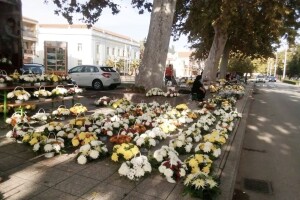 Prodaja cvijeća u Čapljini