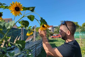 Leonardo Štokić - OPG Le'olive