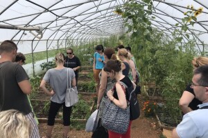 Udruženje građana Nešto Više