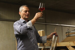 Weingut Heinrich - Biodinamička vina iz Gradišća