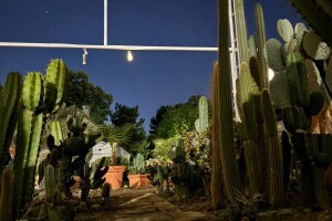 Mediteranska botanička bašta, Bečej