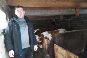 Hajrudin Alić: U razvoju govedarstva vidim perspektivu