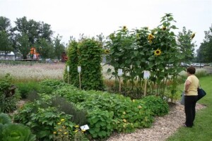 Permakulturni vrt - AGRA sajam