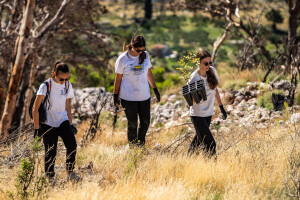 Pošumljavanje Biokova