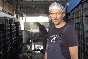 Čokoladirana šljiva porodice Simić