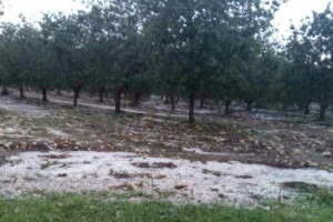 Ljubinje - Trebinje (Nevrijeme)