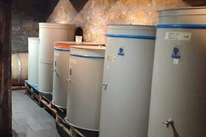 Dušan Dimitrijević od hobija napravio porodičnu vinariju