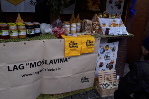 Projekt "Bee friends"