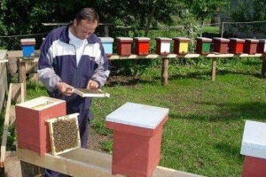 Jusuf Petrović: „Pri proizvodnji matica koristim voštane čahure“