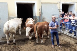 Srednja poljoprivredna škola Weindorf u Austriji