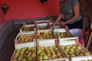 Farma Brkić iz Blatne