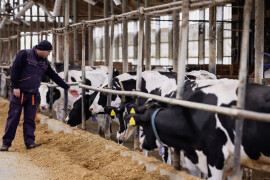 Žito grupa - ventilacijski sustavi na mliječnim farmama