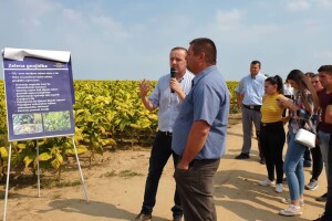 20. Dan polja duhana - Hrvatski duhani