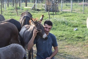 OPG Tomiša Marko uzgaja magarce zbog mlijeka - šire se i planiraju nove proizvode