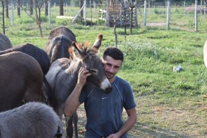 OPG Tomiša Marko uzgaja magarce zbog mlijeka - šire se i planiraju nove proizvode