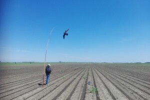 Sa terena - SCARYBIRD razno