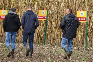 Bc Institut - Dan polja kukuruza u Lovasu