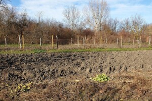 Zima ili proljeće na slavonskim poljima?