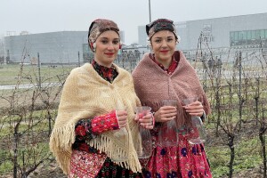 Vinceška Belje 2023