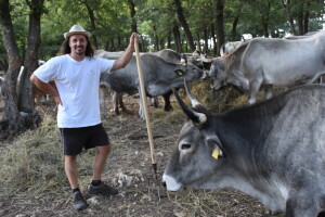 Izvorne pasmine domaćih životinja Istre na OPG-u Poropat