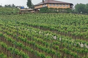 Seosko domaćinstvo Kos - Jurišić