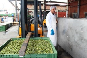 AgroFructus - novi pogon za preradu voća i povrća