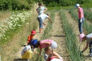 Eko proizvodnja hrane EkoBiz