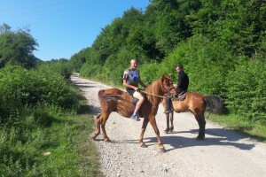 Vjekoslav Joksimović, policajac koga vole ptice i zverinje