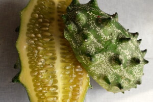 Dah Afrike u prijedorskim baštama