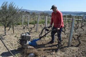 Đir po Zagori: Proljetni radovi u punom jeku