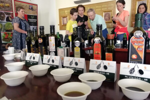 U Varaždinu održana 2. međunarodna izložba bučinih ulja Alpe -Adria