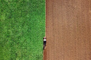 Što donosi Zeleni plan (Green Deal)?