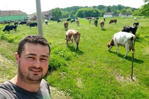 Apel mladog Slavonca